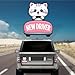 7.6x3.6 Student Driver Magnet - Adorable Crying Cat Design: Please Be Patient - Funny and Cute Car Decor for New, Teen, and Learner Drivers (Small Cat Student Driver)