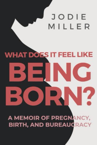 What Does It Feel Like Being Born?: A memoir of pregnancy, birth and bureaucracy