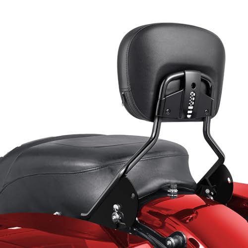 Benlari Passenger Backrest Sissy Bar, Detachable Quick Release Sissy Bar Backrest Fit for Harley Davidson Street GlideElectra Glide Road Glide Road King 2009-2024, Chrome (Black-01)