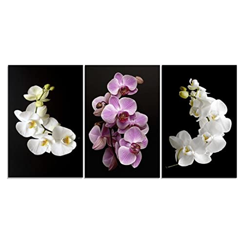 Conjunto Quadros Decorativos com 3 peças Orquídeas 40x60