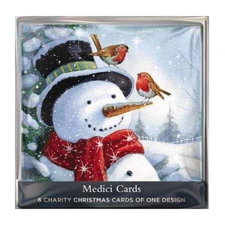 Make A Wish 12 Charity Christmas Cards Traditional Robin - Greeting Cards