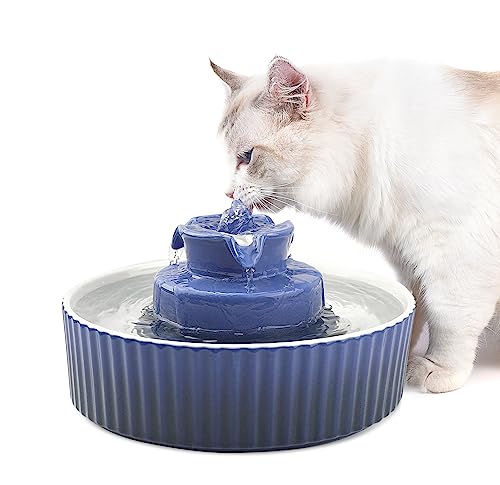 NautyPaws Ceramic Cat Water Fountain