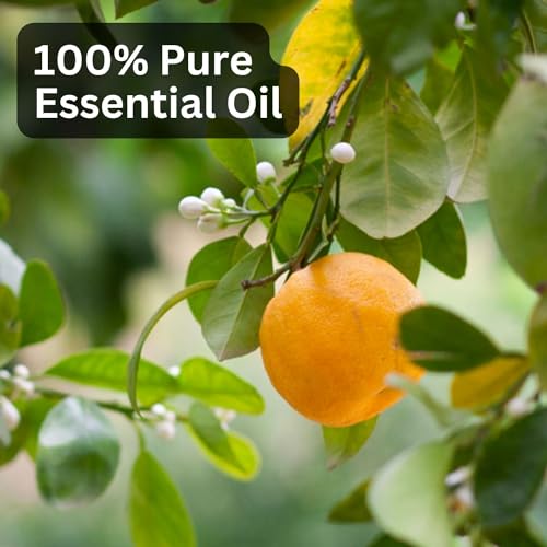 Image of Aroma Treasures 100% Pure & Natural Essential for healthy Skin /body & mind (Petitgrain Essential Oil)