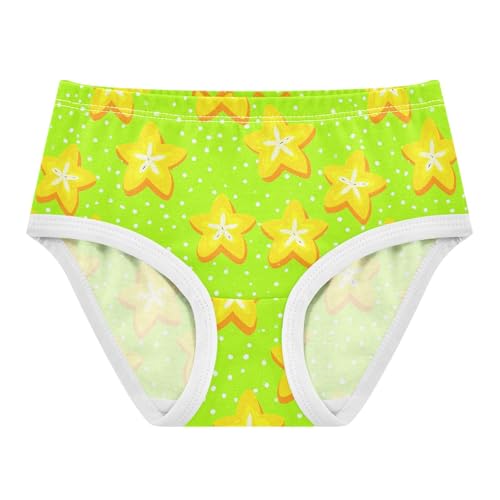 Fruit Carambola Green Toddler Girls's Underwear 2T 2302185