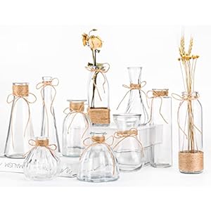 Nilos Small Vases 10pcs Clear for Flowers, Mini Vintage Vase Bulk with Rope for Rustic Wedding Decorations, Events, Home Table Decor