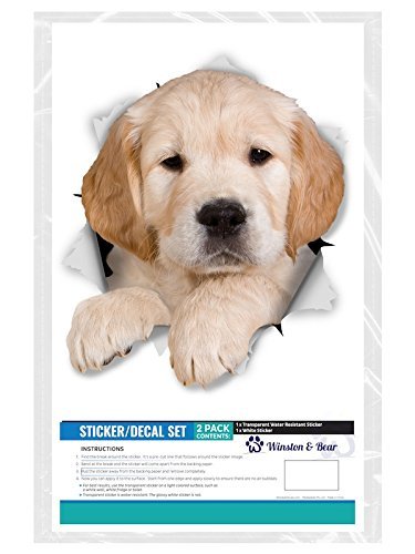 3D Golden Retriever Wall Stickers 2-Pack - Realistic Dog Decals For Home Decor