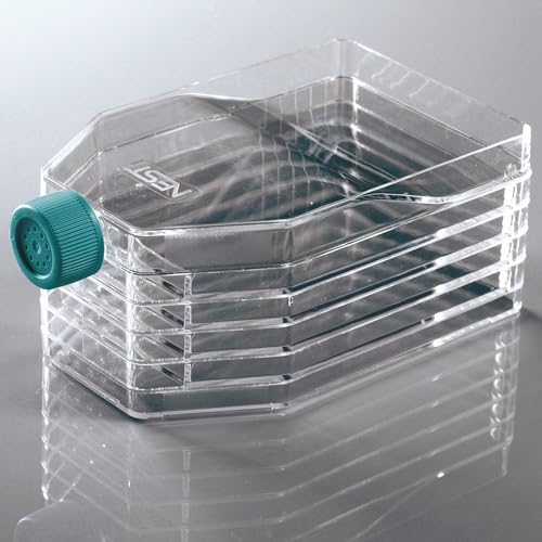 5-Layer Cell Culture Flask, Vent Cap, TC, Individually Packed, Sterile (8/cs)