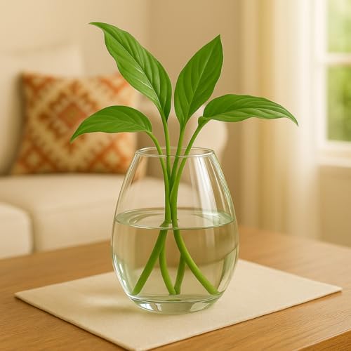 Image of ecofynd Glass Vase for Flowers Plants, Modern Decorative Vase for Home Decor Center Table, Bedroom, Living Room, Office Decoration, Wedding or Gifts (GVASE008)