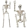 Halloween Decorations Outdoor, 2 Pack 36″ Life Size Posable Human Skeleton Decor – Indoor Halloween Decor for Graveyard, Haunted House, Yard, Patio, Lawn, Garden & Spooky Party Props