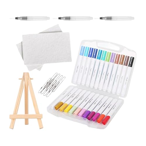 Chaies Juego de pintura de textura de espuma, lienzo de pintura 3D con pincel de agua, juguete creativo para niños pequeños y niñas