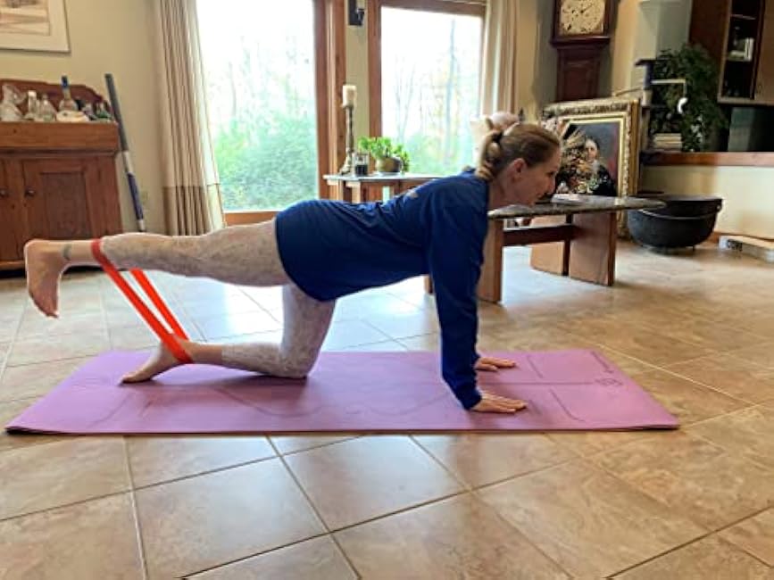 BodyForge Resistance Bands for Working Out for Women Men for Exercise Bands Resistance Bands for Legs Bands for Working Out Hip Thigh Glute Bands with Instruction Guide and Carry Bag, Set of 5