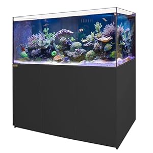 Coral Reef Aquarium Tank | 250 Gallon Ultra Clear Glass with Sump, Black