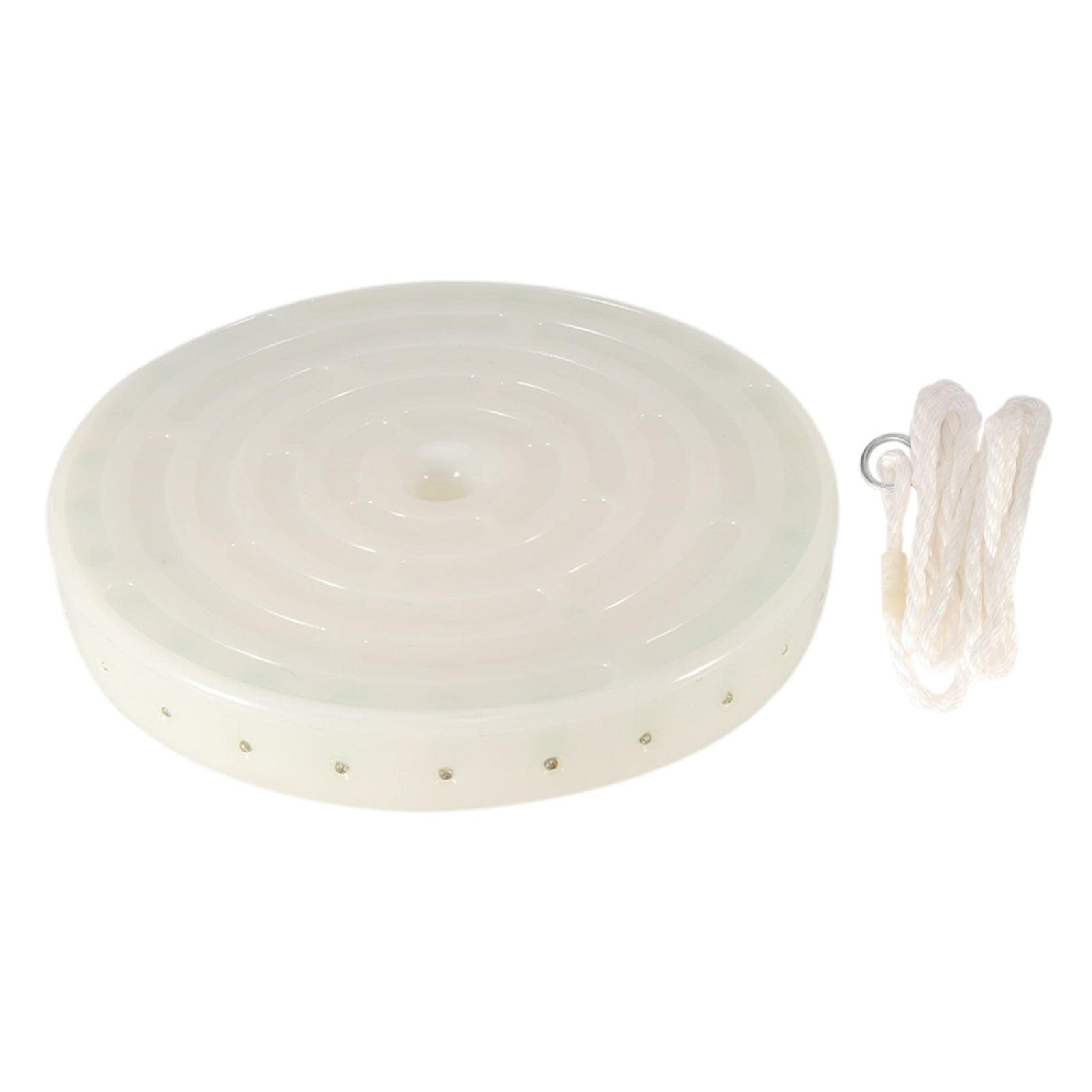 LED Lighted Swing, Ourdoor Garden Swing Seat, Climbing Rope with Round Swing Seat Set, Backyard Light Swing for Children(White)