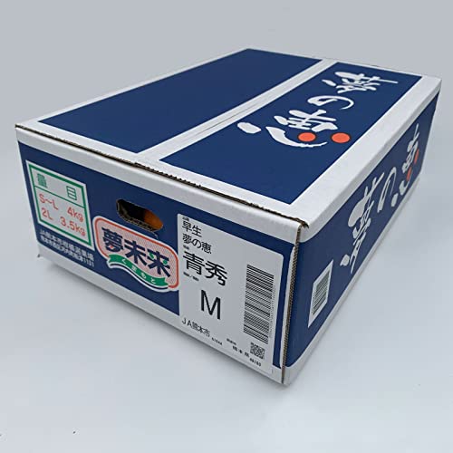 ݂y̌bz4KG GylTCYzy11{`{twsz