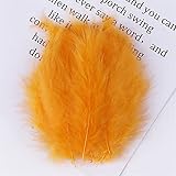 ZHBO 10-15cm Fluffy Turkey Marabou Feather，Feathers for Jewelry Making Decoration Wedding Accessories Feather Craft Craft Boas (Color : Orange, Size : 100 pcs)
