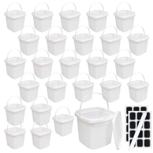 26 Pcs Plastic Food Containers with Lids and Handle 67 Oz 2 Qt 0.5 Gallon Kitchen Food Storage Buckets Reusable Square Deli Storage Buckets for Ice Cream, Freezer and Microwave