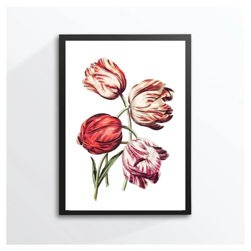 Affiche plante fleur vintage pour salon cocooning | Tableau nature