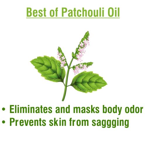 Image of Crysalis Patchouli (Pogostemon Cablin) Oil |100% Pure & Natural Undiluted Essential Oil Organic Standard| Helps In Care Of Skin, Hair |Aromatherapy Oil| 15ml With Dropper