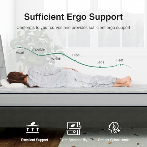 Novill 6/8 Inch Foam and Spring Hybrid Mattress, Queen Mattress in a Box, Medium Support, CertiPUR-US Certified Foam & Steel Coils, Durable Design, Guest and Youth Bedroom, Eco-Friendly Packaging
