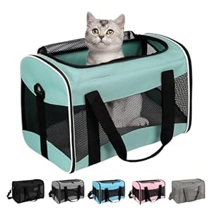 Cat Carrying Case Pet Dog Carrier Soft-Sided Cat Bag Airline Approved, Pet Travel Carrier Up to 15 Lbs, Collapsible Cat Carrier Dog Carrier for Medium Cats Small Cats Dogs(17x11x11 Green)