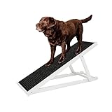 Holtaz Rampe pour Chien Rampe pour Chat escalier pour Chien pour Le lit ou Le canapé échelle en Bois Pliable pour Chien Petwalk Rampe pour Animaux avec Insert antidérapant