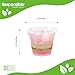 Responsible Products Clear Cold Cup, Certified Compostable and Made from 100% American Biobased Materials, No-PFAS Added & BPA-Free (5 oz Cups (100 Count)) 2