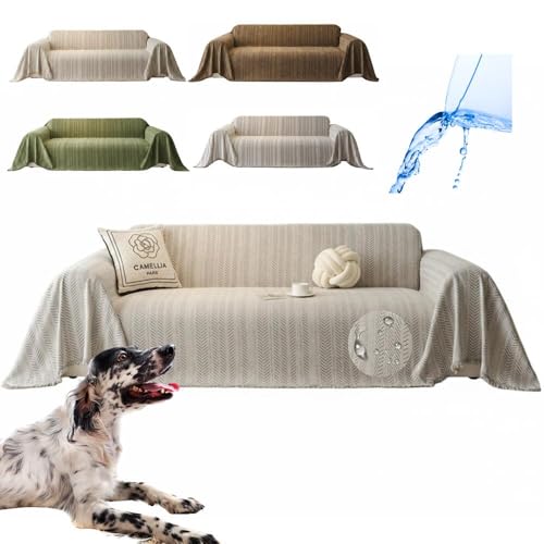 Lifetips CObVEZb^[iEnglish Setterj \t@[Jo[ k  􂦂 h }`Jo[ 2l| 3l| It IȂ ~ Eh~ LΉ lGʗp iO[j i300180CMj