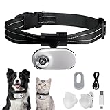 Updated Cat Collar Camera,Pet Sport Camera with Video Records,Wireless Mini Body Small Cam HD 1080P Security Cameras Wireless Outdoor/Inoor Puppy Supplies/Stuff Birthday Gift No WiFi Needed