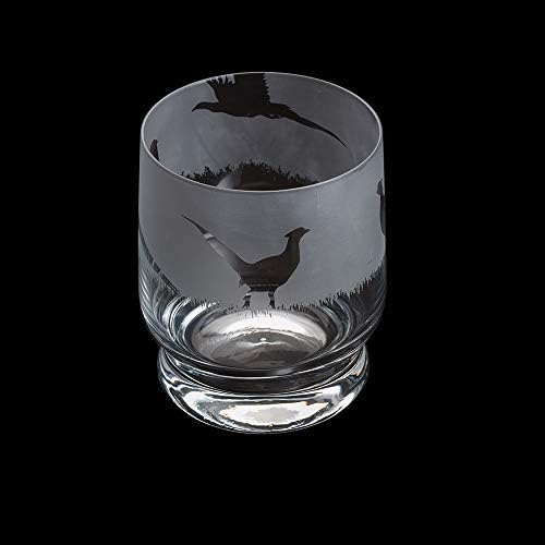 Dartington Crystal Aspect Tumbler Cycling, 1 Count (Pack of 1)