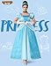 Spooktacular Creations Adult Princess Costume, Halloween Costume Woman Role Play, Blue Princess Dress with Headband, Gloves,and Necklace-L