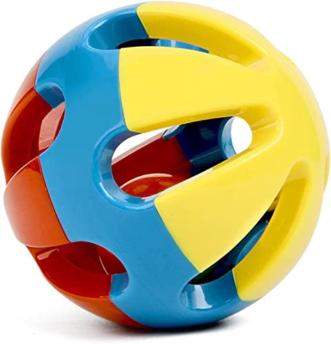xr[{[ ̓{[ Ԃ {[ ߋ Jtz[{[ xr[p{[ o{[ z͂mߋ ܂܂ o Go o ώ@  c xr[pi  j̎q ̎q oYj a NX}X v
