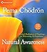 Natural Awareness: Guided Meditations and Teachings for Welcoming All Experience