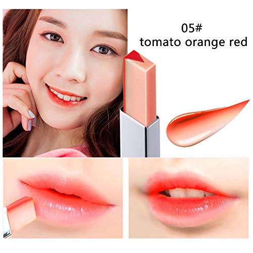 Double Color Lipstick Waterproof Long-Lasting Lip Gloss Moisturzing Nourishing Lipsticks Balm Lip Cosmetics By Shouhengda