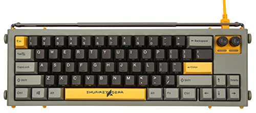 Shurikey 65% Mechanical Gaming Keyboard with Varmilo EC V2 Sakura Switch, White LED Backlit, Wireless and Bluetooth Keyboard for Windows Mac OS Android - Hanzo 001