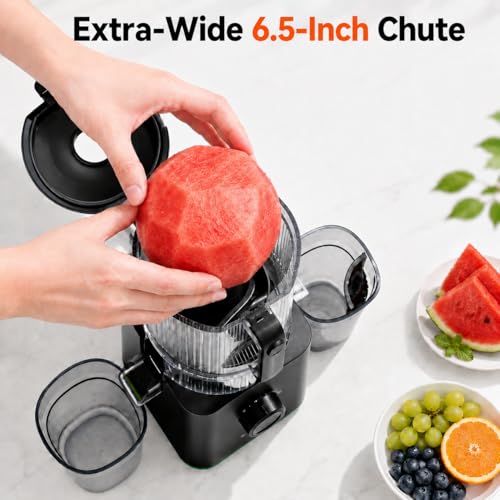 Image of AMZCHEF Cold Press Juicer, 6.5 inch Whole Fruit Self-Feeding Slow Juicer
