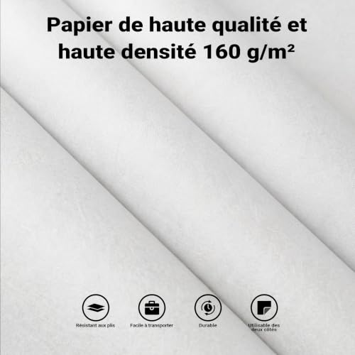 Walimex pro Fond Papier Blanc 2,60 x 10 m, Mat et sans Reflets pour Studio – vue 7