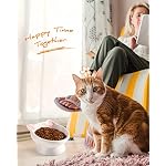 Raised Cat Food Bowl Ceramic 15° Tilted Cat Food Bowls Protect Cat's Spine Anti Vomiting Backflow Prevention Bowls for Adult Kitty, Kitten, and Small Dogs, Pink - Image 6