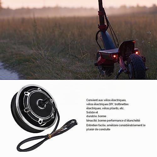 Dioche Moteur Trotinette Electrique, Moteur de moyeu de Scooter électrique 48V 1000W, Moteur de moyeu de Frein à Disque sans balais pour vélo électrique pour Pneu extérieur de 10 Pouces