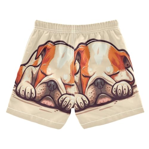 Boy Swimming Trunks, Swimwear for Toddler Boys 2t, Bully Bulldog Sleeping Cute Cartoon2