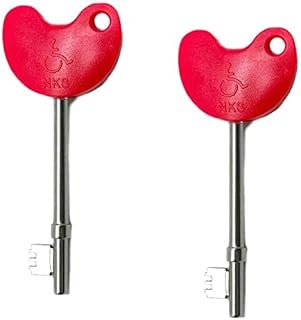 Ezlok Radar NKS Disabled Key with Braile (Pack of 2)