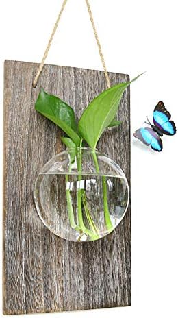 Pet Fish Bowl,ADSRO Creative Wall Mounted Acrylic Fish Tank Plant Wall Hanging Vase for Home Decoration