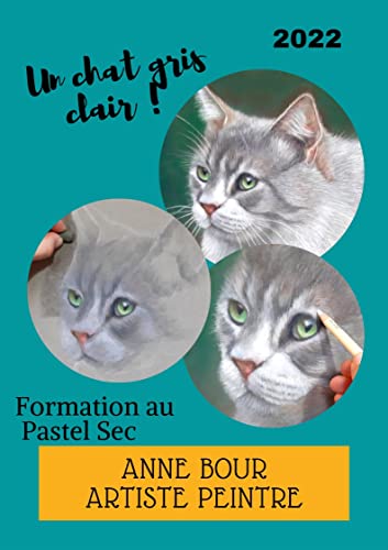 UN CHAT GRIS CLAIR AU PASTEL SEC