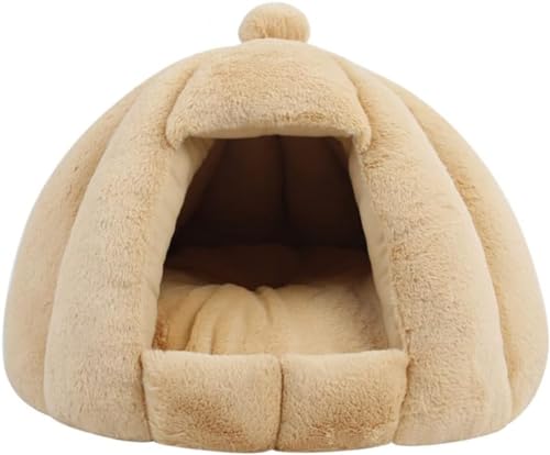 WQNB Lxbh nEX h[^ ybgxbh ۉh ybgnEX ^ Lp H~p Lxbh xe ӂӂ ~ ی^ ~ p ΍ y ybgpi L (56*56cm,x[W)