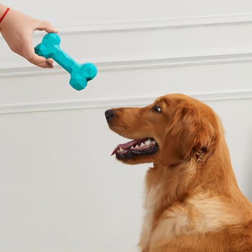 SAVOSWEET Kauspielzeug Hund Knochen Gummi, Hundespielzeug Knochen Unzerstörbar, Hundeknochen Mittlere Hunde Blau, Geeignet für Hunde Innerhalb von 30 Kg, Hundespielzeug zur Zahnreinigung