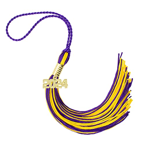 Tassel Depot 2024 Purple/Gold Graduation Tassel - Every School Color Available - Made in USA