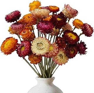 Fleurs Séchées de Paille en Bouquet, Multicolore