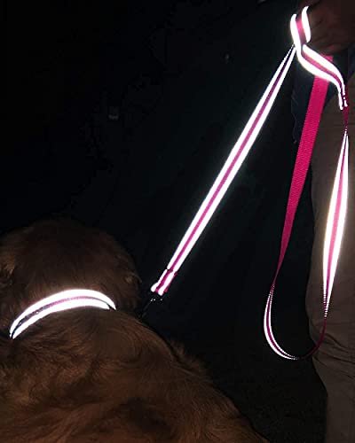 Joytale 14-20 Inches Dog Collar And 6Ft Leash, Reflective Soft Neoprene Padded Pet Collars And Leashes For Medium Dog #TOP4