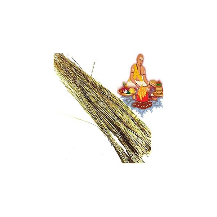 Buy Dry Natural Kusha Grass Bundles for Pooja and Purification Aid