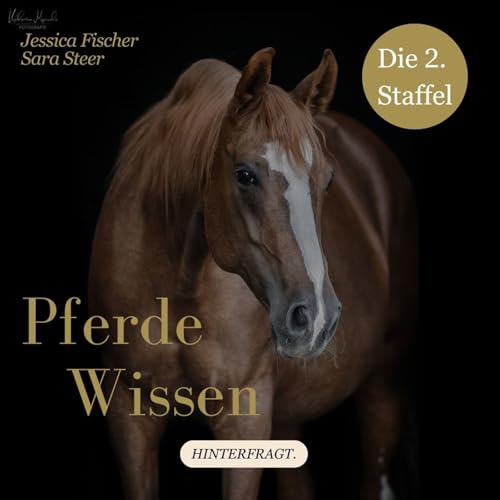 1 - Nachgiebigkeit - doch keine so gute Idee?