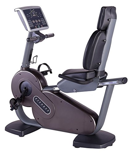 Commercial Recumbent Exercise Bike 